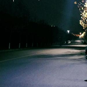 东北动画片操逼大黄片
